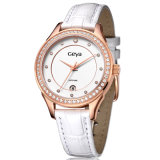 Quartz Watch with Genuine Leather for Lady (7009)