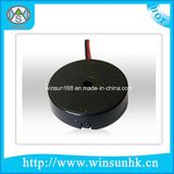 High Cost Performance D17xh4mm External Drive Piezo Buzzer