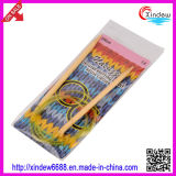Bamboo Circular Knitting Needle with Colorful Plastic Thread (XDBC-003)