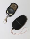 Remote Control Jump Egg Sex Toy (HY-0203)