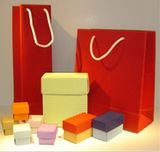 Paper Gift and Shopping Box and Bag for Different Size to Choose