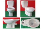 Close-Coupled X-Trap Toilet