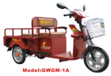 Gwgm-1A Electric Tricycle