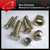 Stainless Steel 304 Bolts / Nuts