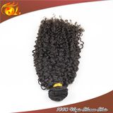 Kinky Curly Twist Marley Braid Hair Brazilian Hair