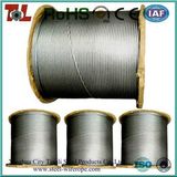 Factory Galvanized Train Cable/ Train Wire Rope