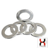 Custom Sintered Ring Permanent NdFeB/Neodymium Magnet