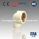 ASTM D2846 Made in China Certified Plastic Fittings CPVC Fitting Manufacture CPVC Brass Thread Female Elbow CPVC Fitting CPVC Brass Elbow