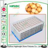 Stackable and Foldable PP Material Plastic Egg Crate