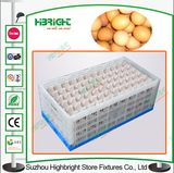 Stackable and Foldable PP Material Plastic Egg Crate