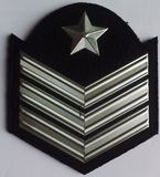 Metal Badge