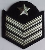 Metal Badge