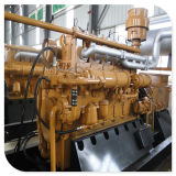 400kw Electricity Power Plant Water Cooled Siemens Alternator High Efficiency Biogas Engine Electric Biogas Generator