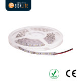Colors 120LEDs/Meter SMD3528 Waterproof IP65 LED Flexible Strip Light with 1 Year Warranty