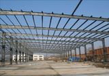 Steel Structure Building