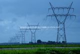 Singgle Circuit Angle Steel Transmission Tower