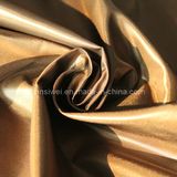 Shiny Polyester Nylon Fabric for Down Jacket (SLTN9026-2)