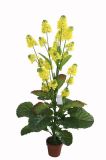 Artificial Plants and Flowers of Cole Flowers Gu-872-27-24yellow