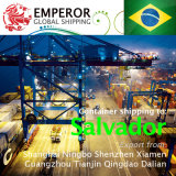 Sea Freight Shipping From China to Salvador, Brazil Brasil
