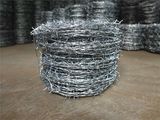 Galvanzied Barbed Wire for Sale