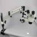 ENT Microscope (ENTD)
