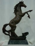Bronze Statue Horse (HY0980)