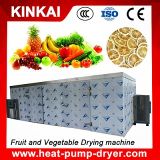 Automatic Control Heat Pump Dryer Type Fruit and Vegetable Drying Equipment