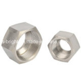 Non-Standard Stainless Steel Hex Nut