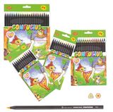 Wooden Color Pencil Set (Model No: CPL-20)