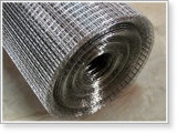 Electric Welded Wire Mes