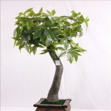 Bend Trunk Artificial Pachira Macrocarpa Bonsai Tree for Decor Anywhere