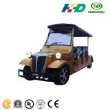 Wido 6 Seats Electric Classic Car