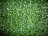Artificial Grass