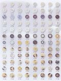 Resin Button