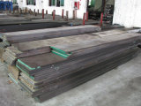 Special Steel (2083/4Cr13)