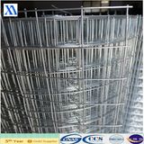 Electro Welded Wire Mesh (XA-WM22)