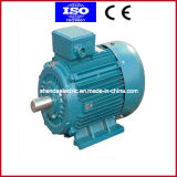 Y2 Series Cast Iron Three Phase Electric Motor