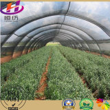 Greenhouse Agriculture Virgin HDPE Sun Shade Net