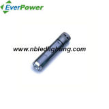 Aluminum LED Flashlight / LED Torch (FA-2001-5LED)