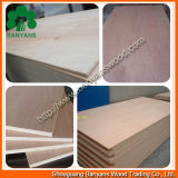 BB/CC Bintangor and Okoume Faced Commercial Plywood