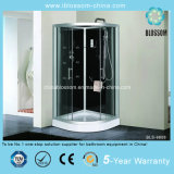Luxurious Aluminum Frame Steam Shower Room (BLS-9808)