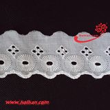 Tc Lace (GLTC0145)