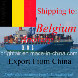 Cargo Ship From Tianjin, Qingdao, Dalian, Xiamen to Antwerp, Belgium