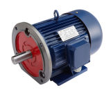 Three Phase Induction Homemade Electric Motor
