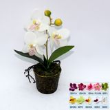 Artificial Potted Flower, Imitative Silk Orchid