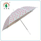 Korea Style Pink Children Umbrella