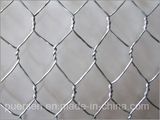 Chicken Wire Mesh and Galvanized Hexagonal Iron Wire Netting