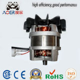 1000W Asynchronous Electric Motor From Lawn Mower