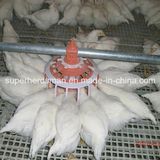 Poultry Pan Feeding System for Breeder