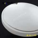 Succinct Artistic New Type 24W LED Ceiling Light